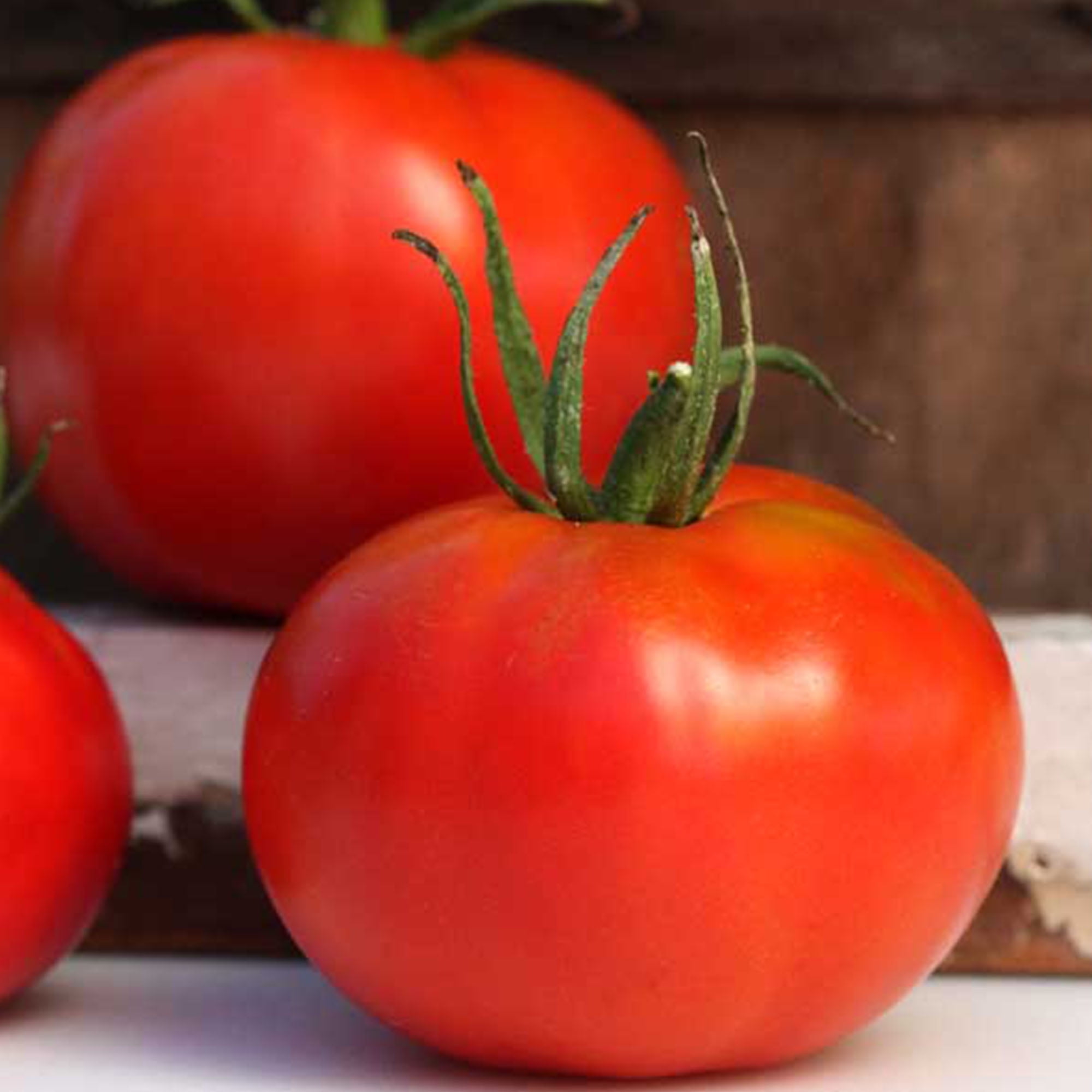 Marglobe Tomato Seed - 1/4 LB ~30,000 Seeds - Heirloom, Open Pollinated, Non-GMO, Farm & Vegetable Gardening Seeds