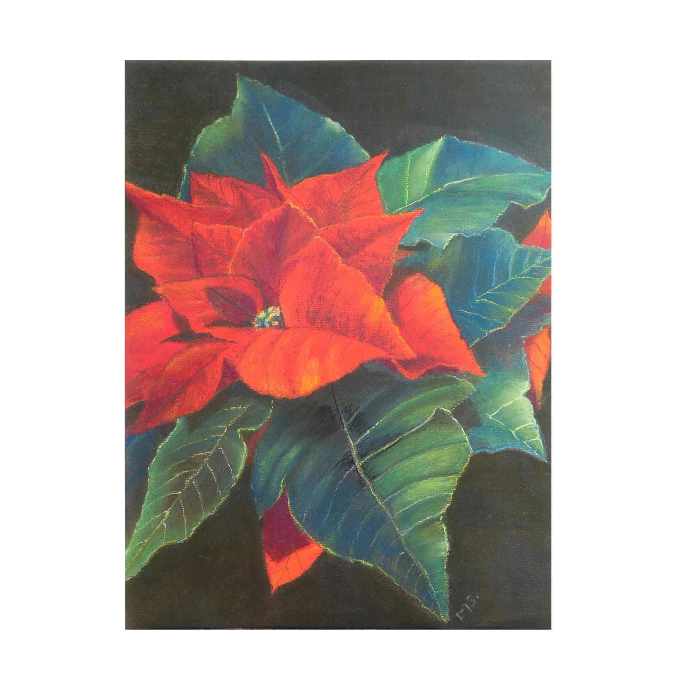 Margo Starkey 'Poinsettia, 2022' Canvas Art - 35 x 47 Inches