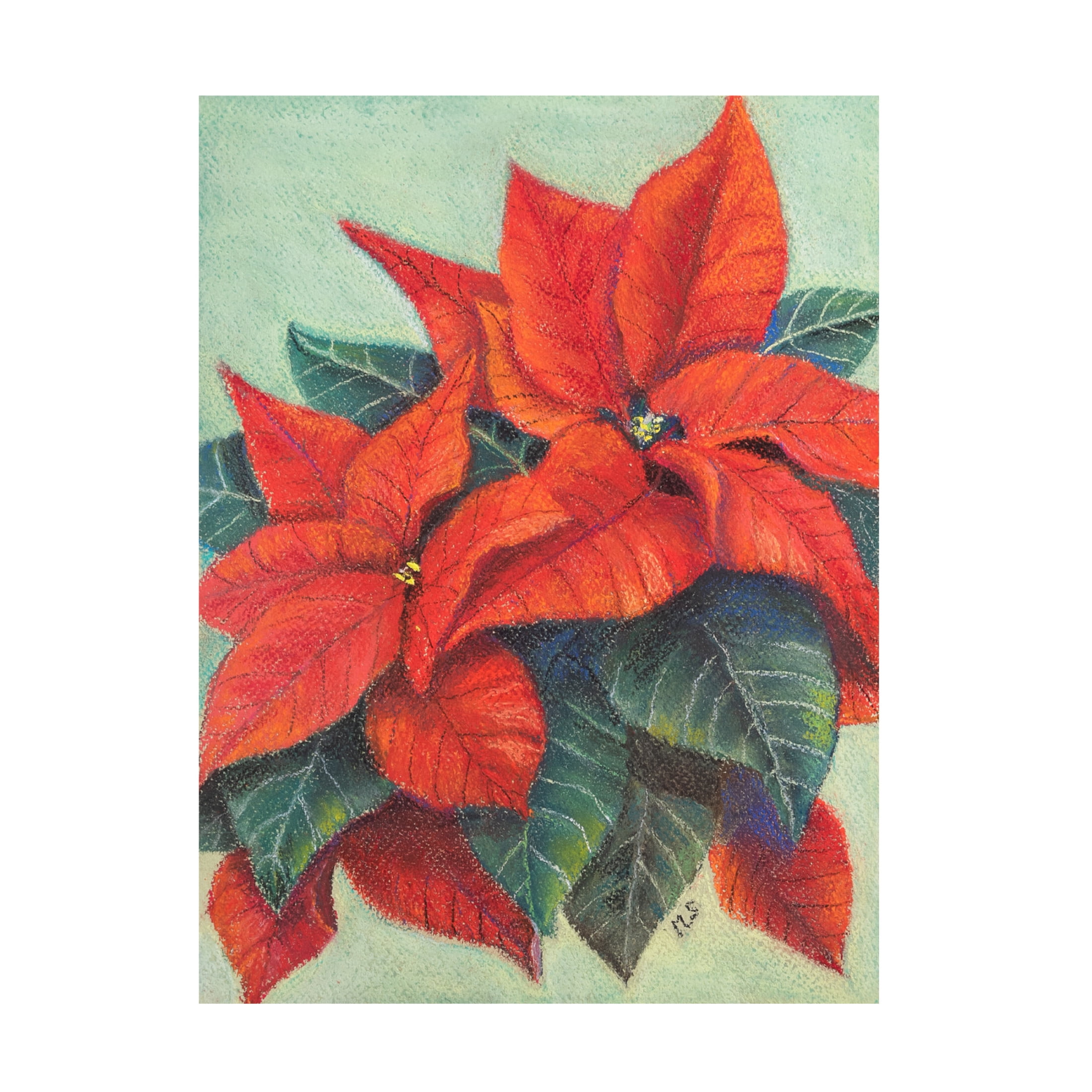 Margo Starkey 'Poinsettia's, 2022' Canvas Art - 24 x 32 Inches