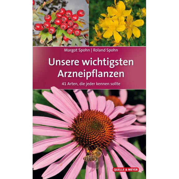 Margot Spohn,Roland Unsere wichtigsten Arzneipflanzen: 41 Arten, die jeder kennen (Paperback)