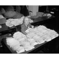 thumbnail image 1 of Marguerite 'Missy' Lehand History (36 x 24), 1 of 1