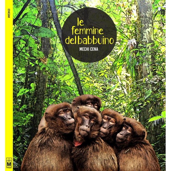 Maria Grazia Beltrami,Mechi Ce Le femmine del babbuino. Antonio Laitano, commissar (Hardcover)