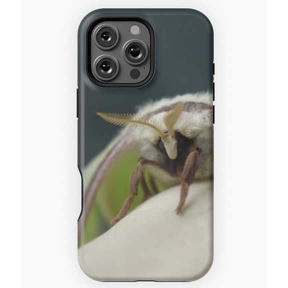 Maria Luna Graphic Name Design Art N5797 Phone Case for iPhone 17 16 15 14 13 12 11 Pro Max