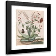 thumbnail image 1 of Maria Monninckx 11x14 Black Modern Framed Museum Art Print Titled - Butterflies, a Snake and a Turtle Around a Flowering Agave (1620 - 1720), 1 of 5