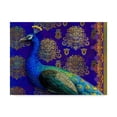 thumbnail image 1 of Maria Rytova 'Indian Peacock' Canvas Art, 1 of 4