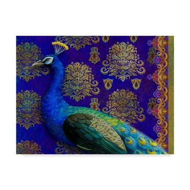 Maria Rytova 'Indian Peacock' Canvas Art
