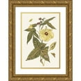 thumbnail image 1 of Maria Sibylla Merian 11x14 Gold Ornate Wood Frame and Double Matted Museum Art Print Titled - Muscus Flower (1705), 1 of 4