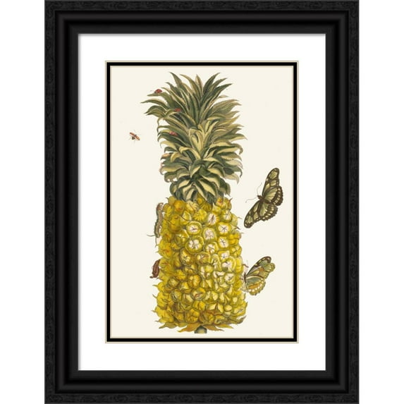 Maria Sibylla Merian 13x18 Black Ornate Wood Framed Double Matted Museum Art Print Titled - Pineapple Wall (1705)