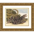 thumbnail image 1 of Maria Sibylla Merian 14x11 Gold Ornate Wood Frame and Double Matted Museum Art Print Titled - Save (1705), 1 of 4