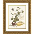 thumbnail image 1 of Maria Sibylla Merian 15x18 Gold Ornate Wood Frame and Double Matted Museum Art Print Titled - Battattes (1705), 1 of 4