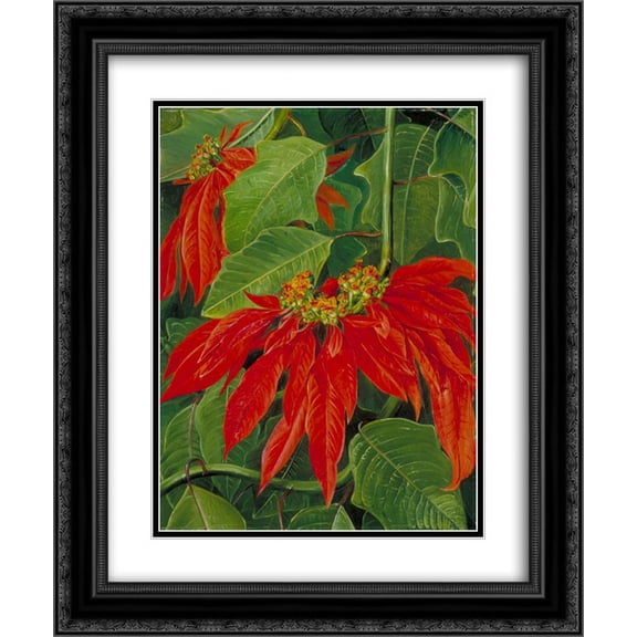 Marianne North 2x Matted 20x24 Black Ornate Framed Art Print 'Flor de Pascua or Easter Flower, at Morro Velho, Brazil'