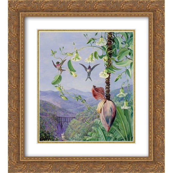 Marianne North 2x Matted 20x24 Gold Ornate Framed Art Print 'The Aqueduct of Morro Velho, Brazil'