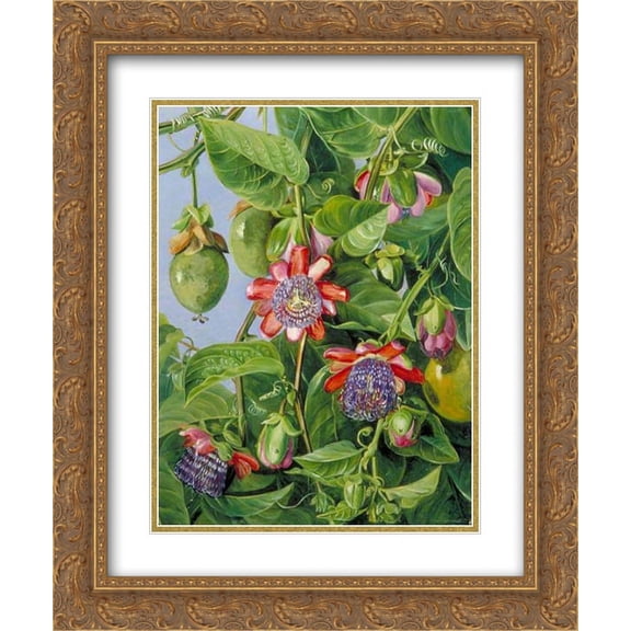 Marianne North 2x Matted 20x24 Gold Ornate Framed Art Print 'delete'