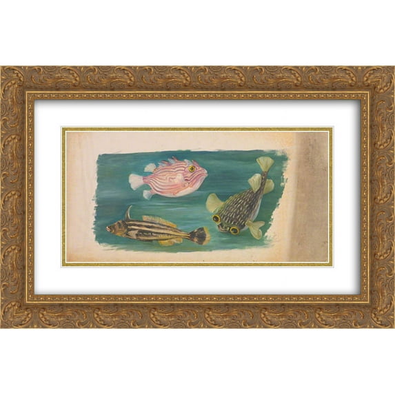 Marianne North 2x Matted 24x16 Gold Ornate Framed Art Print 'Fishes'