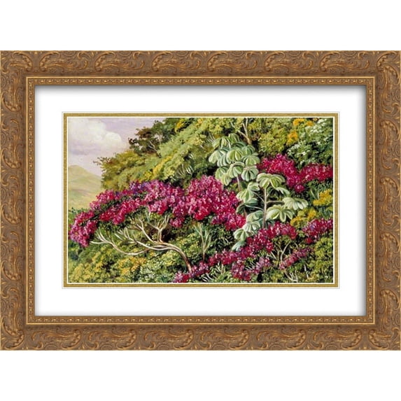 Marianne North 2x Matted 24x20 Gold Ornate Framed Art Print 'A Bank of Quaresma and Trumpet Trees, Brazil'