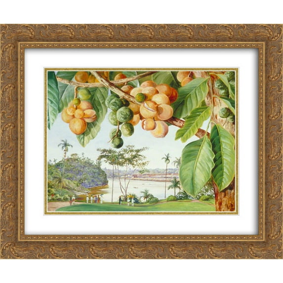 Marianne North 2x Matted 24x20 Gold Ornate Framed Art Print 'View from the Istana, Sarawak, Borneo'