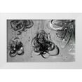 thumbnail image 1 of Marie, Addie 24x16 White Modern Wood Framed Museum Art Print Titled - Forms of Gray, 1 of 4