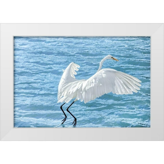 Marie, Dina 18x13 White Modern Wood Framed Museum Art Print Titled - Taking Flight