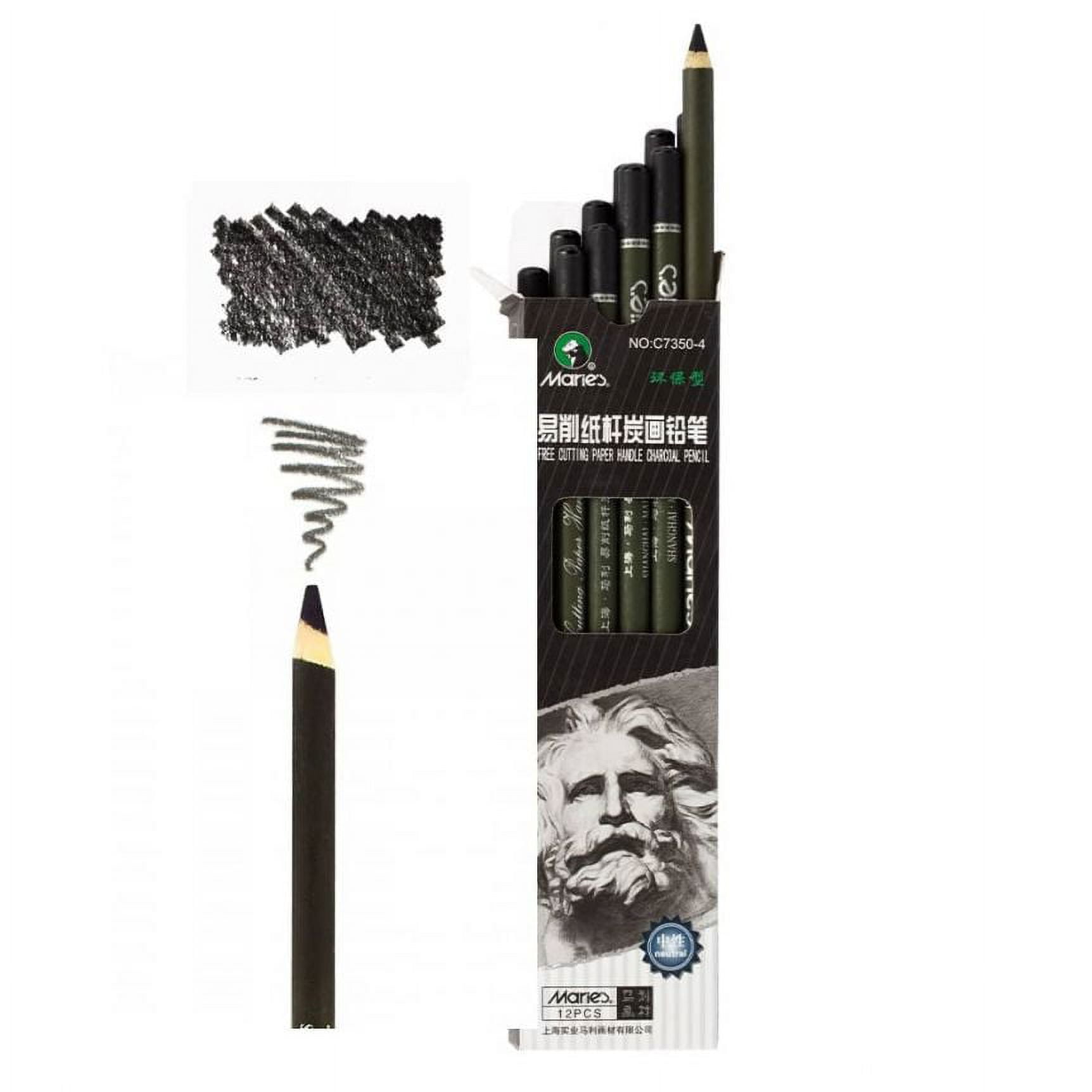Leda's Dream 72 Piece Art Set with 60 Professional Drawing Pencils (Colored Charcoal Watercolor Metallic Black) Premium Sketchbook Mini-Pencil