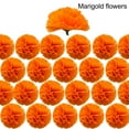 thumbnail image 1 of Marigold Flower Heads Bulk, Day of The Dead Dia De Los Muertos Mexican Artificial Flowers for Diwali Home DIY Wreath Garland, 1 of 10