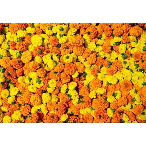 Marigold Flowers Backdrop Orange and Yellow Marigold Floral Wall Indian Wedding Background Hindu India Traditional Festival Puja Pooja Diwali Decorations Banner Photo Booth Props