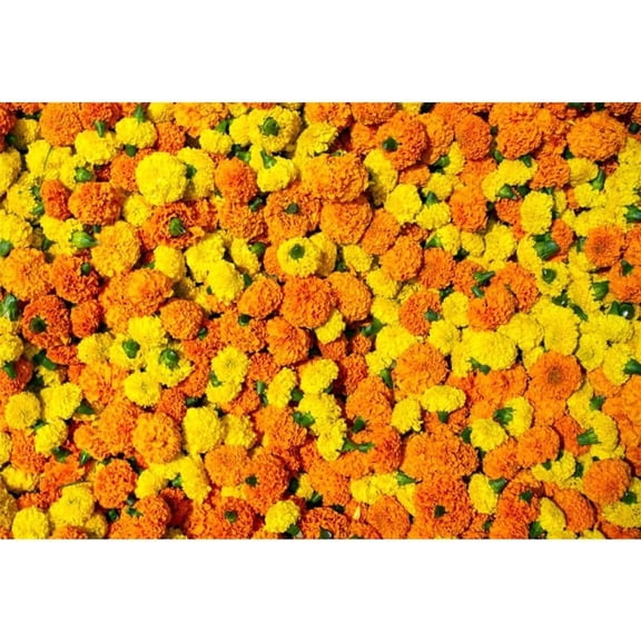 Marigold Flowers Backdrop Orange and Yellow Marigold Floral Wall Indian Wedding Background Hindu India Traditional Festival Puja Pooja Diwali Decorations Banner Photo Booth Props