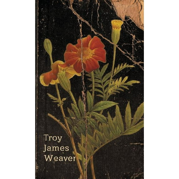 Marigold, (Paperback)