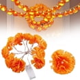 thumbnail image 1 of Marigold String Lights Verdsylv 1.5M Marigold Led String Lights Garland, 10 Warm White Bulbs for Pooja Altar, Festival Home Decoration, Outdoor Temple & Diwali Celebrations, Led Festival Lights, 1 of 6