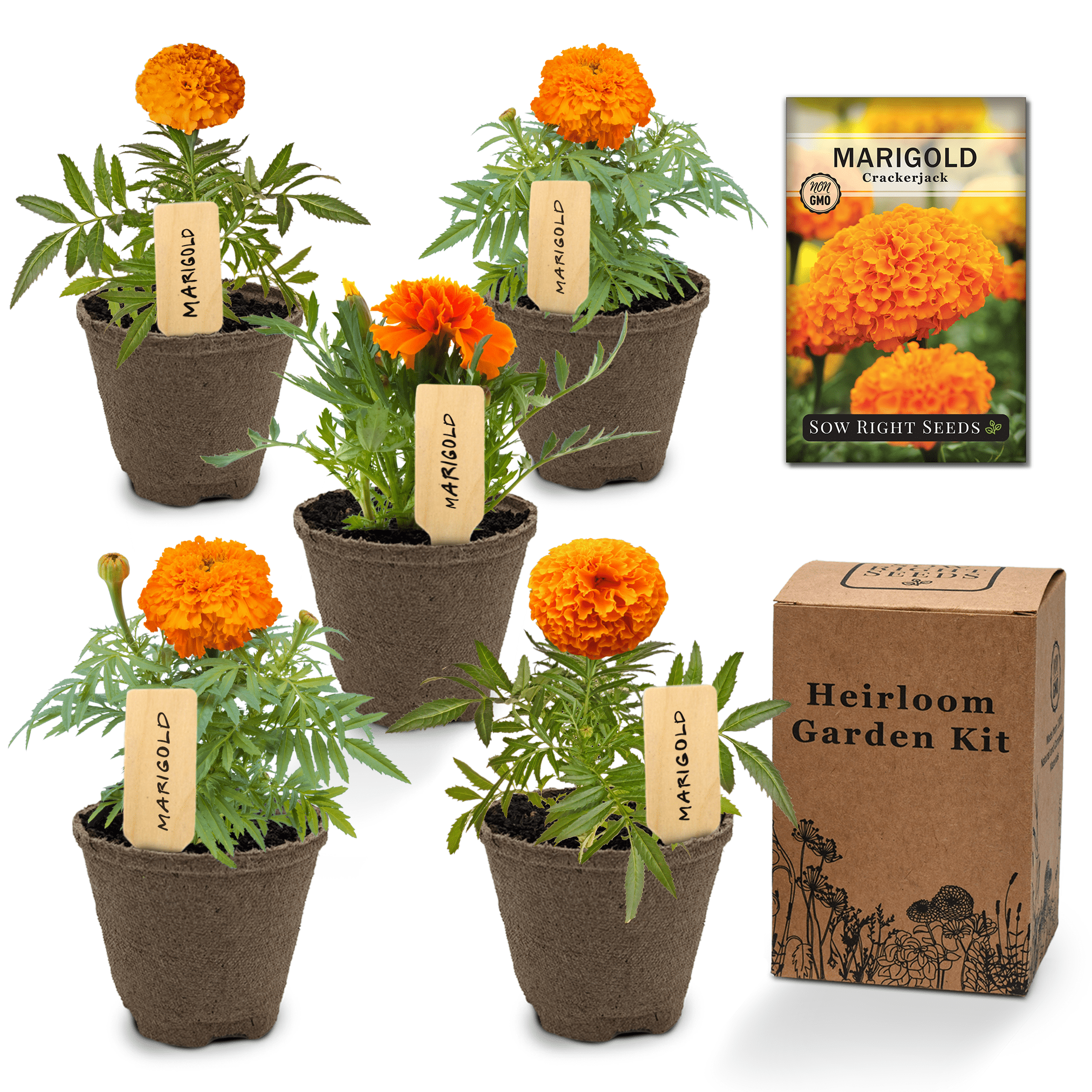 Marigolds Garden Kit Grow Non GMO Marigold Plants Outdoor Garden