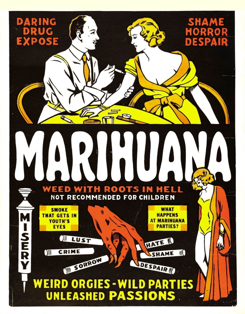 Marihuana Canvas Art - (24 x 36)