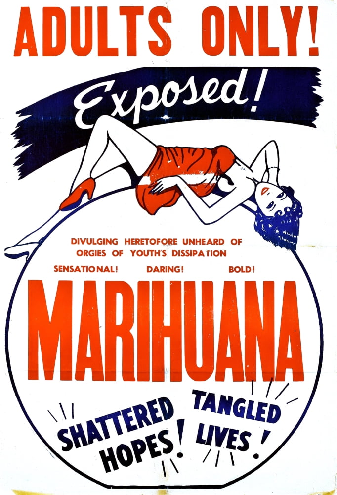 Marihuana Canvas Art - (24 x 36)