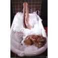 thumbnail image 1 of Marilyn Monroe Poster Print (22 x 34), 1 of 1