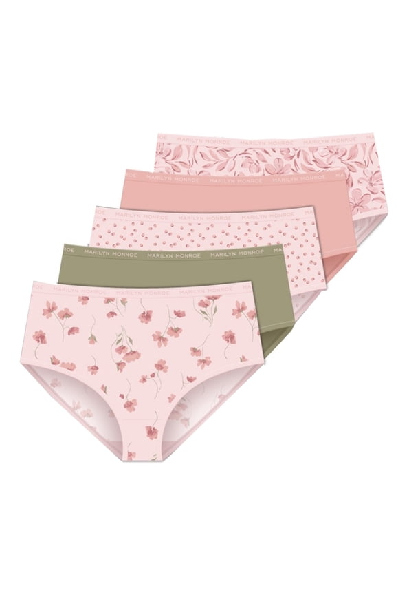 Women's Stretch Brushed Microfiber Brief Panties - Set of 5 - Size Medium - Fits Clothing Pants Size 10 /12