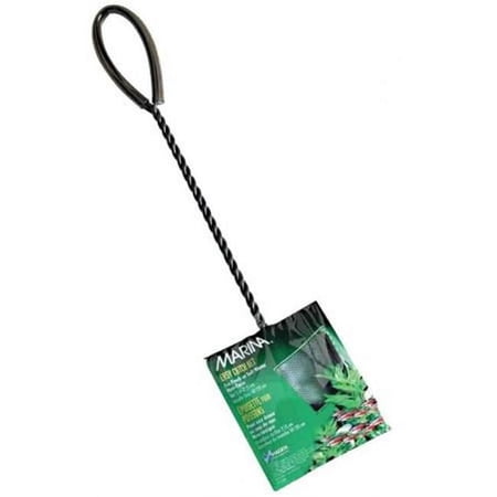 Marina 2" Black Coarse Nylon w/10" Handle
