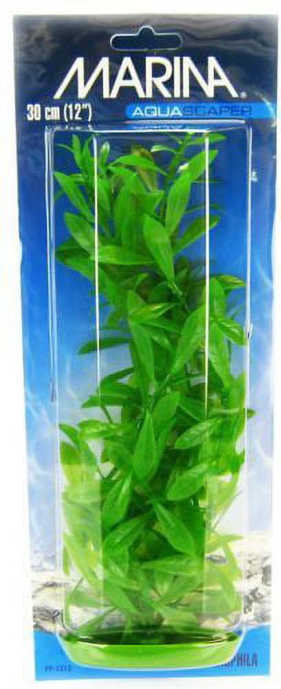 Marina Hygrophila Plant [Aquarium, Plants Standard] 12" Tall
