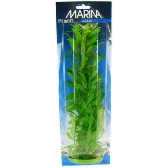 Marina Hygrophila Plant [Aquarium, Plants Standard] 15" Tall