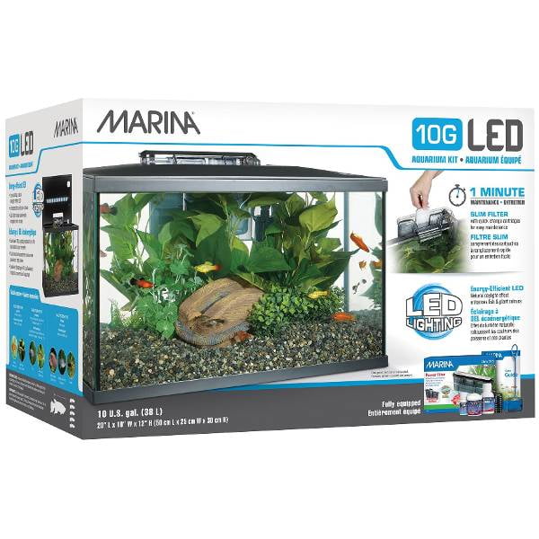 uddøde Overvind Afståelse Marina LED Glass Aquarium Kit, 10 Gallon - Walmart.com