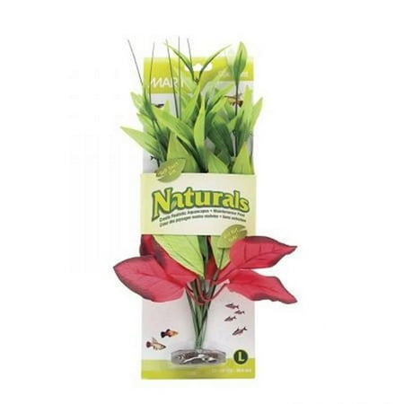 Marina Naturals Red/Green Pickerel Silk Plant, Large