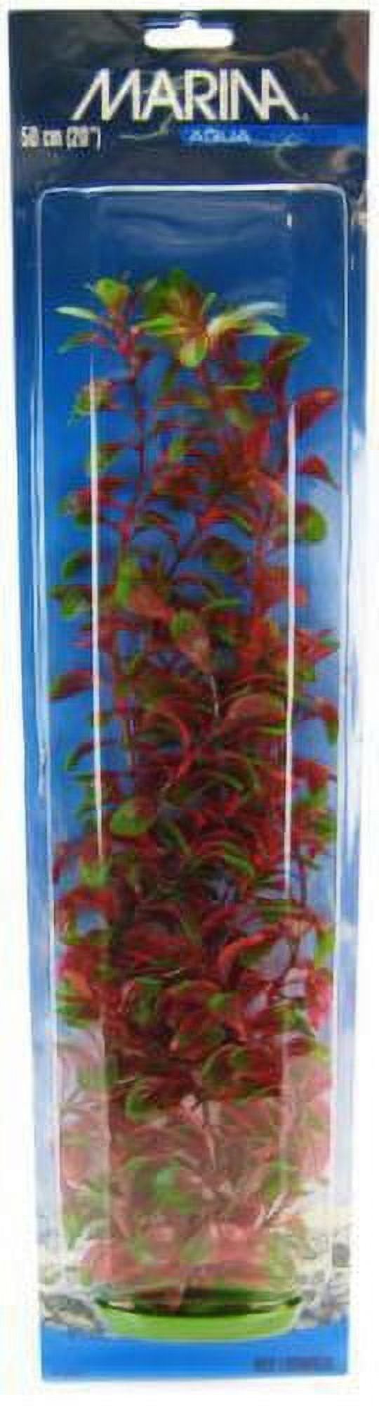 Marina Red Ludwigia Plant [Aquarium, Plants Standard] 20" Tall