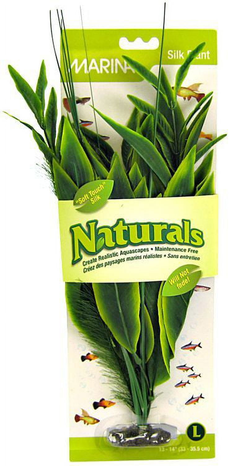 Marina Silk Dracena Aquarium Plant - Green [Aquarium, Plants Marine] Large (12" Tall)