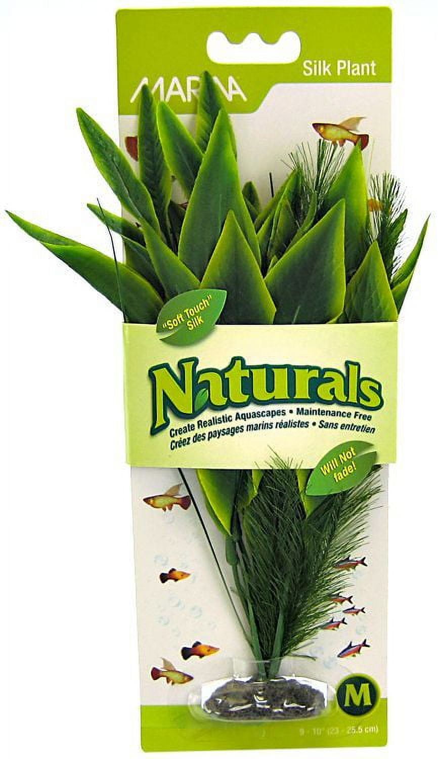Marina Silk Dracena Aquarium Plant - Green [Aquarium, Plants Marine] Medium (8" Tall)