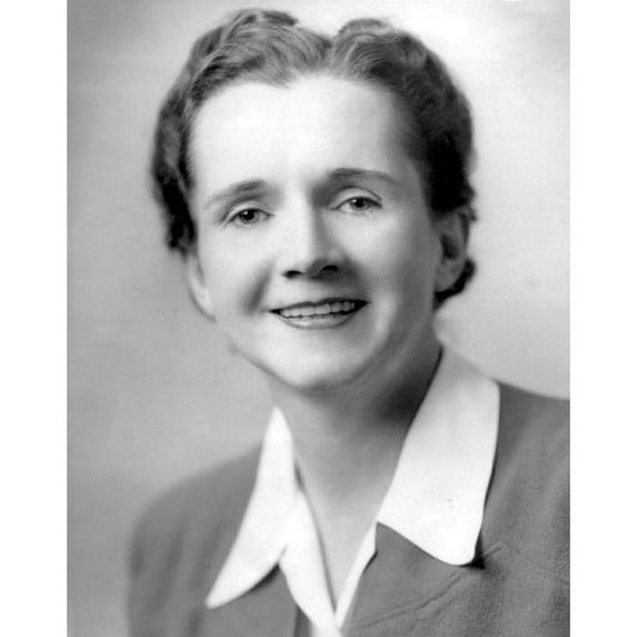 Marine Biologist Rachel Carson In 1944 As An Employee Of The U.S. Fish And Wildlife Service. Her 1963 Book History (