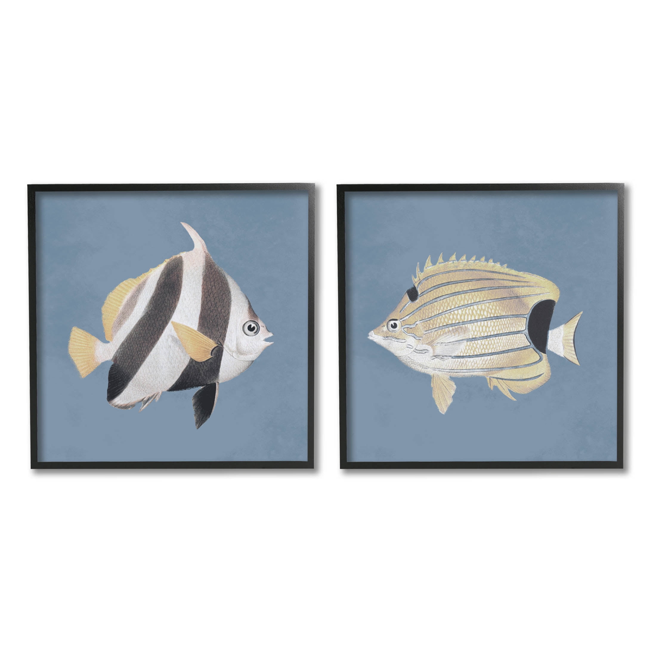 Marine Fish Underwater Sea Life Animals & Insects Graphic Art Black Framed Art Print Wall Art, Set of 2