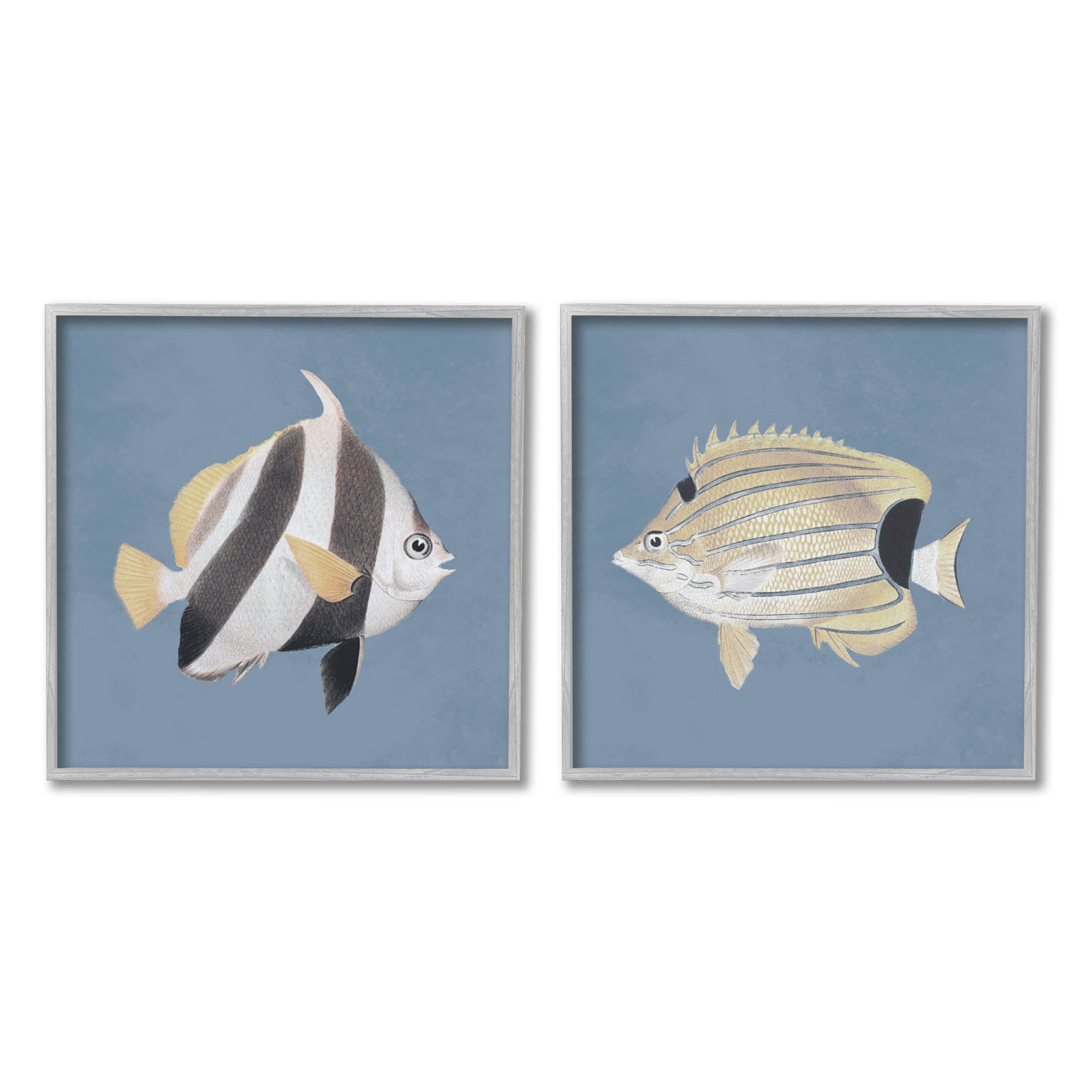 Gray Wood Framed Marine Fish Underwater Art Set