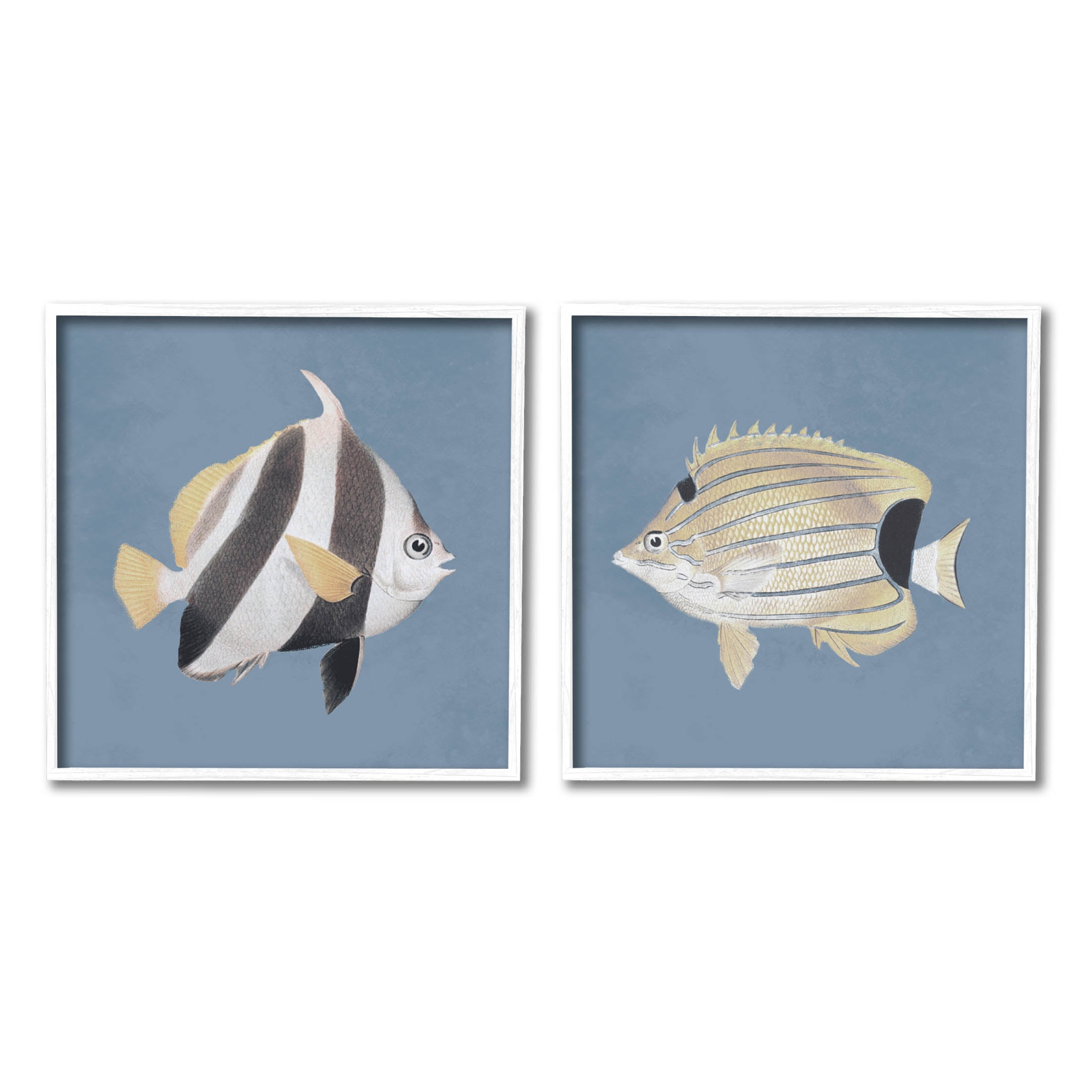 Marine Fish Underwater Sea Life Animals & Insects Graphic Art White Framed Art Print Wall Art, Set of 2
