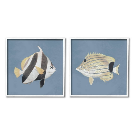 Marine Fish Underwater Sea Life Animals & Insects Graphic Art White Framed Art Print Wall Art, Set of 2
