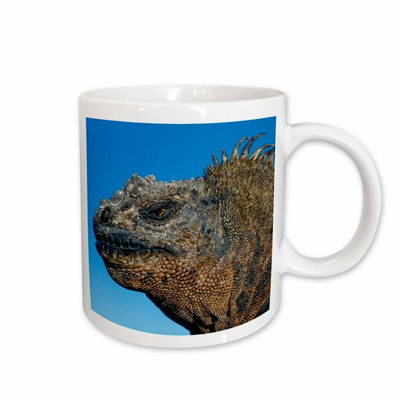 3drose, Marine Iguana, Galapagos Islands, Ecuador, 11oz Mug