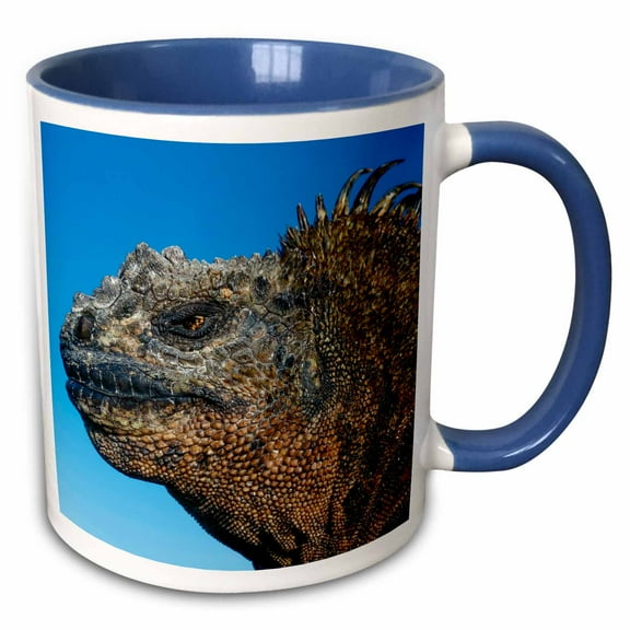 3drose, Marine Iguana, Galapagos Islands, Ecuador, 11oz Two-tone Blue Mug