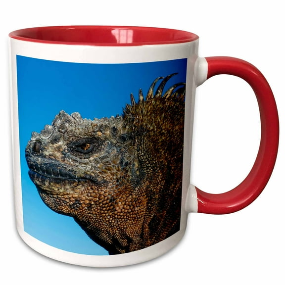 3drose, Marine Iguana, Galapagos Islands, Ecuador, 11oz Two-tone Red Mug