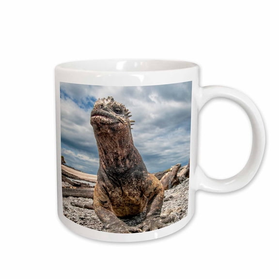 3drose, Marine Iguana on Fernandina Island, the Model for the Godzilla Movies, 15oz Mug